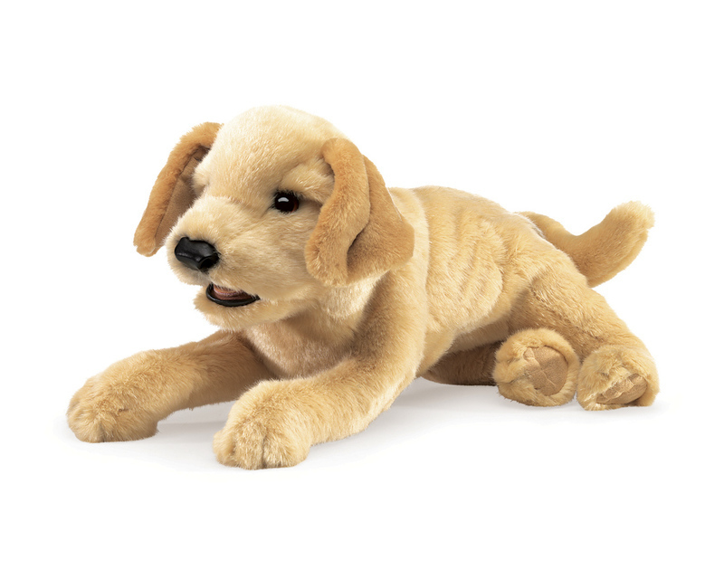 Buy Folkmanis Labrador Puppy Puppet