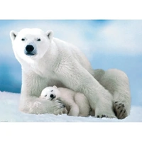 Eurographics - Polar Bear & Babies Puzzle 1000pce