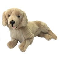 Bocchetta - Lucky Golden Retriever 51cm