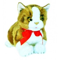 Bocchetta - Ginger Cat Plush Toy 22cm