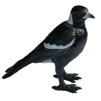 Science & Nature - Magpie