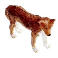 Science & Nature - Dingo