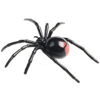 Science & Nature - Redback Spider