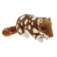 Bocchetta - Spotty Quoll Plush Toy 22cm