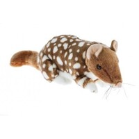 Bocchetta - Dotti Quoll Plush Toy 31cm