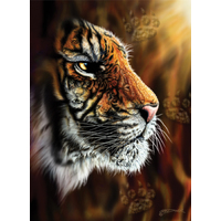 Anatolian - Wild Tiger Puzzle 1000pc