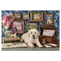 Anatolian - Labrador Puzzle 500pc