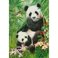 Castorland - Panda Brunch Puzzle 1000pc