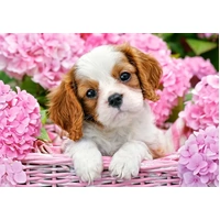 Castorland - Pup In Pink Flowers Puzzle 500pc