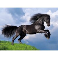 Clementoni - Fresian Black Horse Puzzle 500pc