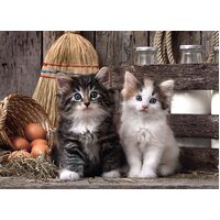 Clementoni - Lovely Kittens Puzzle 1000pc