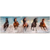 Clementoni - Horses Panorama Puzzle 1000pc