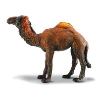 Collecta - Dromedary Camel 88208