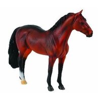 Collecta - Hanoverian Stallion Bay 88431