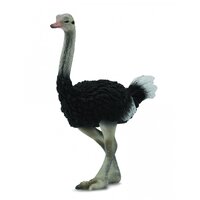 Collecta - Ostrich 88459