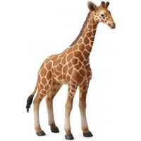 Collecta - Reticulated Giraffe Calf 88535