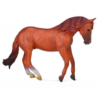 Collecta - Australian Stock Horse Stallion - Chestnut 88712