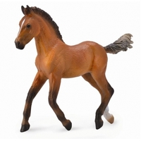 Collecta - Hanoverian Foal Bay 88734