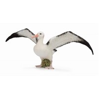 Collecta - Wandering Albatross 88765