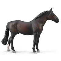 Collecta - Holsteiner Stallion Bay 88987