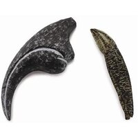 Collecta - Allosaurus - Tooth & Finger Claw Replica 89288