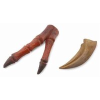 Collecta - Tyrannosaurus Rex - Claw & Hand Replica 89289