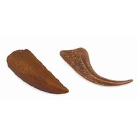 Collecta - Velociraptor - Tooth & Foot Claw Replica 89291