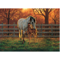 Cobble Hill - Quiet Time Puzzle 500pc