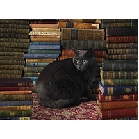 Cobble Hill - Library Cat Puzzle 1000pc