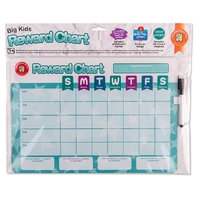 Learning Can Be Fun - Big Kids Magnetic Reward Chart