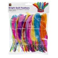 EC - Bright Quill Feathers 60gm
