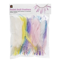 EC - Pastel Quill Feathers 60gm
