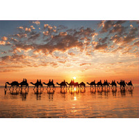 Educa - Golden Sunset on Cable Beach Puzzle 1000pc