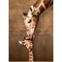 Eurographics - Giraffe Mother's Kiss Large Piece Puzzle 500pc