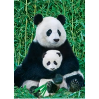 Eurographics - Panda & Baby Puzzle 1000pce