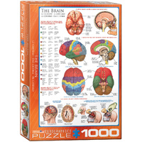 Eurographics - The Brain Puzzle 1000pc