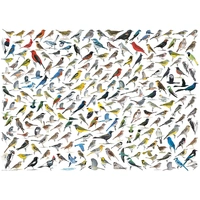 Eurographics - World of Birds Puzzle 1000pc
