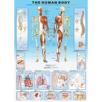 Eurographics - The Human Body Puzzle 1000pc