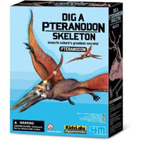 4M - Dig a Pteranadon Skeleton