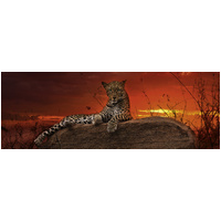 Heye - Von Humboldt, Red Dawn Panorama Puzzle 2000pc