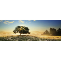 Heye - Von Humboldt, Play of Light Panorama Puzzle 1000pc
