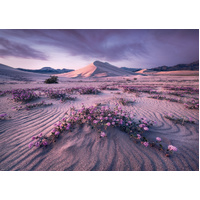 Heye - Von Humboldt,  Arrow Dynamic Puzzle 1000pc