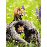 Ravensburger - Cheeky Foxes Puzzle 300pc