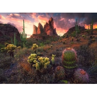 Ravensburger - Cactus Puzzle 500pc