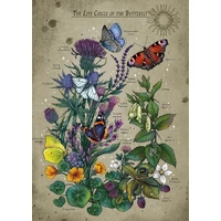 Ravensburger - Life Circle Butterfly Puzzle 1000pc
