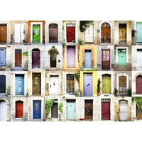 Ravensburger - Beautiful Doors In Provence Puzzle 1000pc
