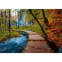 Ravensburger - Autumnal Forest Path Puzzle 1000pc