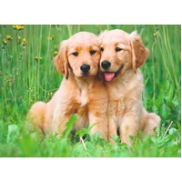 Ravensburger - The Golden Retriever Brothers Puzzle 500pc