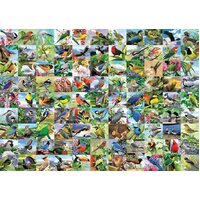 Ravensburger - 99 Delightful Birds Large Format Puzzle 300pc