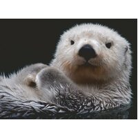 Ravensburger - Adorable Little Otter Puzzle 500pc